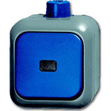 Busch-Jaeger Kontrollwechselschalter 2601/6 Schalter mit Wippe und Kontrollleuchte grau, Retail