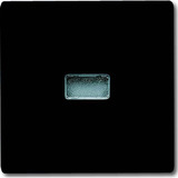 Busch-Jaeger Wippe Kontroll-Wechsel anthrazit, Retail