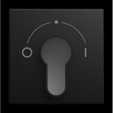 Busch-Jaeger Zentralscheibe 2557 SLPZ-915-101, Abdeckung schwarz, Retail