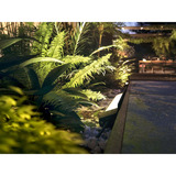 Philips Hue White & Color Ambiance Amarant lineare Außenleuchte, LED-Leuchte schwarz