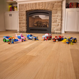 Spin Master Paw Patrol - Search & Rescue: Rockys Recycling-Fahrzeug mit 2 Figuren, Spielfahrzeug 