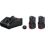 Bosch PRO Starter-Set 12V (2x GBA 12V 2.0Ah + GAL 12V-40 Professional) schwarz, 2x Akku + Ladegerät