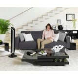 Rowenta Turmventilator VU 6670 FO silber/schwarz