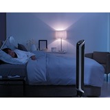 Rowenta Turmventilator VU 6670 FO silber/schwarz