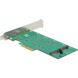 DeLOCK PCIe x1 > 2 x M.2 Key B, Serial ATA-Controller 