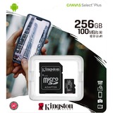 Kingston R100 256 GB microSDXC, Speicherkarte schwarz, UHS-I U3, Class 10, V30, A2