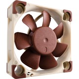 Noctua NF-A4x10 FLX, Gehäuselüfter braun/weiß