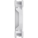 Thermaltake Riing Quad 12 RGB Radiator Fan TT Premium Edition 3 Pack, Gehäuselüfter weiß, 3er Set, 1x Controller, 120 mm