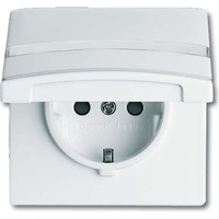 Busch-Jaeger Schutzkontakt-Steckdoseneinsatz Typ 20 EUGKBN-34-101 weiß, Retail