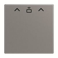 Busch-Jaeger Zentrale Schalter Cardschalter Radiofrequenz-Identifikation, Abdeckung edelstahl, Retail