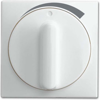 Busch-Jaeger Zentralscheibe, Abdeckung weiß, Retail