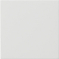 Gira Wippe einfach ohne Bedruckung weiß, Retail