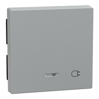 Merten Wippe Kontrollfenster Aluminium für Schalter und Taster Einsatz aluminium, Retail