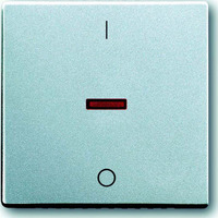 Busch-Jaeger Kontroll-Wippe mit Aufdruck Ein Aus, Schalter Retail