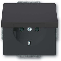 Busch-Jaeger Schutzkontakt Steckdosen Einsatz anthrazit, Retail