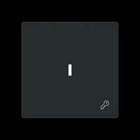 Busch-Jaeger Wippe mit Symbol Schlüssel mit transparenter Kalotte schwarz, Retail