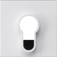 Gira Abdeckung für Schlüsselschalter und Schlüsseltaster unbedruckt seidenmatt weiß, Retail