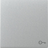 Gira Wippe mit Symbol Tür aluminium, Retail