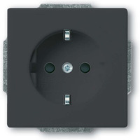 Busch-Jaeger Schutzkontakt Steckdosen Einsatz anthrazit, Retail