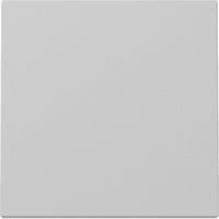 Gira Wippe lackiert matt grau, Retail