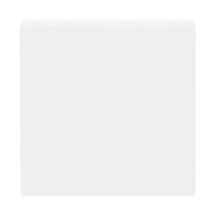 Busch-Jaeger Wippe Studio Weiss Matt Future Linear weiß, Retail