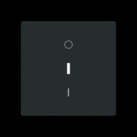 Busch-Jaeger Wippe mit Aufdruck schwarz, Retail