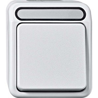 Merten Taster Schließer einpolig mit Wippe, Aufputz, Schutzart IP44, 250 Volt, 10 Ampere hellgrau, Retail