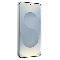 Samsung Galaxy S25 128GB Enterprise Edition, Handy Silver Shadow, Android 15, 5G, 12 GB