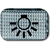Busch-Jaeger Tastersymbol Licht 2145 LI, Schalter transparent, Retail
