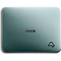 Busch-Jaeger Wippe mit Symbol Klingel titan, Retail