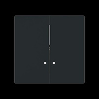 Busch-Jaeger Zentralscheibe 1785/11 K-45M, Abdeckung schwarz, Retail