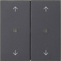 Gira Wippe zwei fach anthrazit, Retail