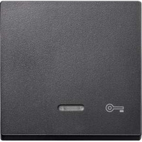 Merten Wippe Kontrollfenster anthrazit, Retail