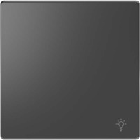 Merten Wippe mit Kennzeichnung Licht für Wechselschalter Kreuzschalter und Taster Einsatz anthrazit, Retail