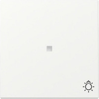 Gira Wippe Kontrollfenster und Symbol weiß, Retail