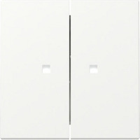 Gira Wippe zweifach mit Kontrollfenster weiß, Retail