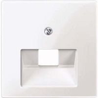 Merten Zentralplatte für Universal-Anschluss-Einsätze, Unterputzmontage, glänzend, Kunststoff weiß (glänzend), Retail