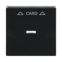 0 Zentralscheibe für Cardschalter mit Symbolik und Kalotte, Abdeckung anthrazit, Retail