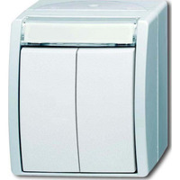 Busch-Jaeger Doppeltaster Serientaster mit zwei Schließern und Druckknopf weiß (matt), Retail