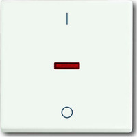 Busch-Jaeger Kontrollwippe mit Aufdruck Ein Aus weiß (matt), Retail