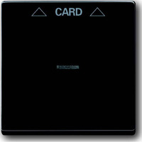 Busch-Jaeger Zentralscheibe für Cardschalter mit Symbolik und Kalotte, Abdeckung anthrazit, Retail