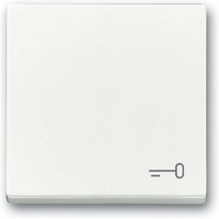 Busch-Jaeger Wippe mit Aufdruck weiß, Retail