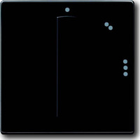 Busch-Jaeger Zentralscheibe für Dreistufen-Drehschalter, Abdeckung anthrazit, Retail