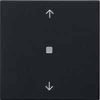 Gira Funk Bedienaufsatz mit Pfeilsymbolen lackiert matt, Fernsteuerung schwarz, Retail