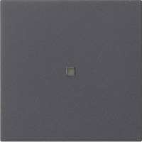 Gira Wippe einfach anthrazit, Retail