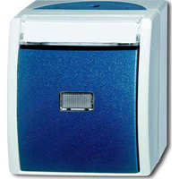 Busch-Jaeger Taster Schließer einpolig Aufputz mit Druckknopf grau, Retail