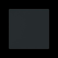 Busch-Jaeger Wippe geschlossen schwarz, Retail