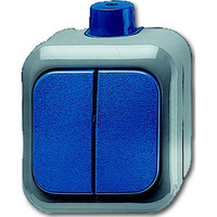 Busch-Jaeger Serienschalter mit Wippe und Komplettgehäuse Aufputz Retail