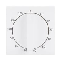 Busch-Jaeger Zentralscheibe Bedienelement, Zeitschaltuhr weiß, Retail