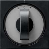 Gira Abdeckung Knebel Zeitschalter schwarz, Retail